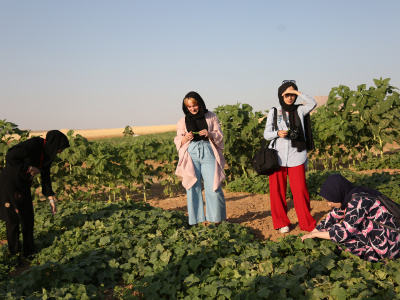 هشتاد و هفتمین دوره