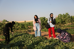 هشتاد و هفتمین دوره