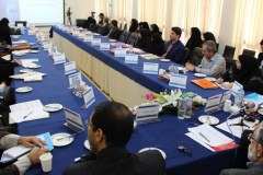 دومین گردهمایی موسسه های فعال در آموزش زبان فارسی در جهان14