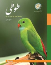 طوطی