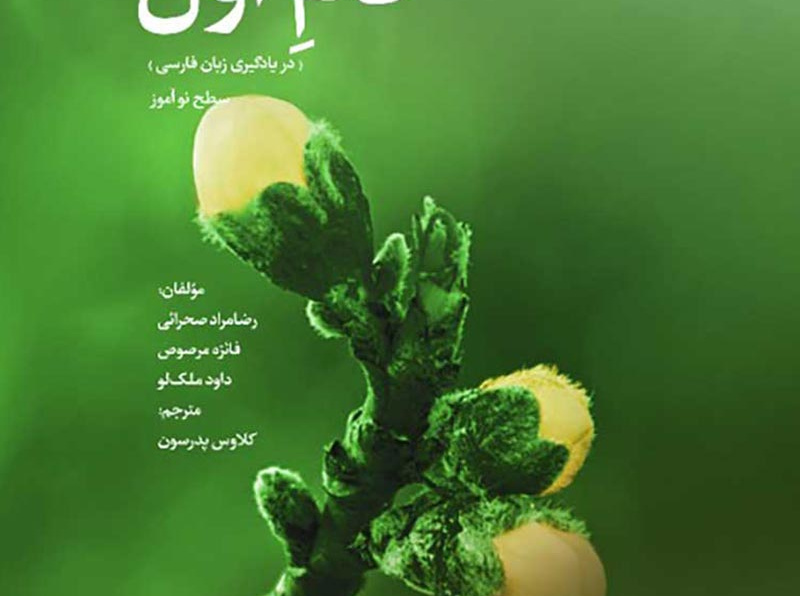 گام اول دانمارکی