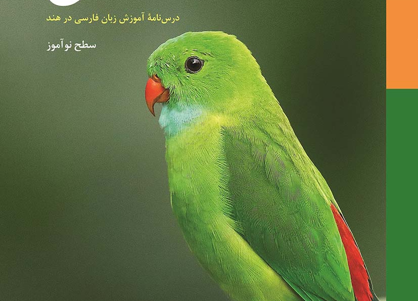 طوطی