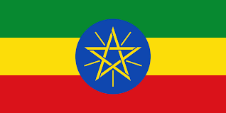 آموزش زبان فارسی در مؤسسه آینده اتیوپی