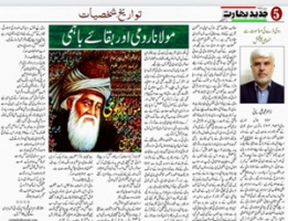 محمدعلی ربانی برای روز مولانا نوشت