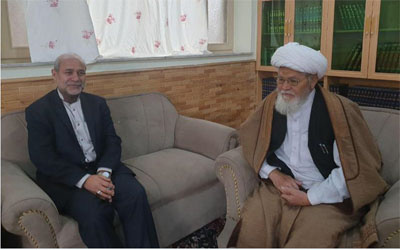 خواهان استفاده از تجربیات ایران در زمینه زبان فارسی هستیم