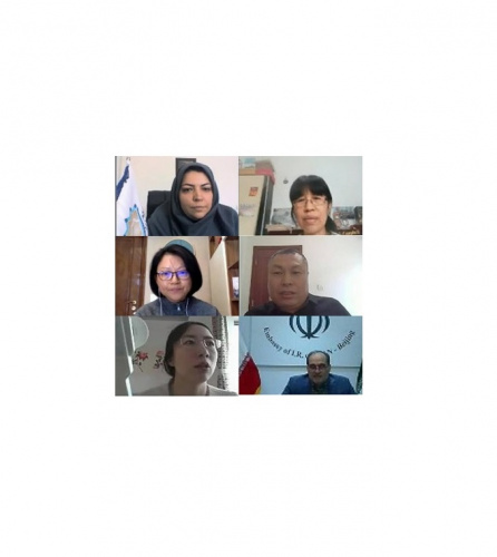 نشست مجازی «زبان و ادبیات فارسی در چین» برگزار شد