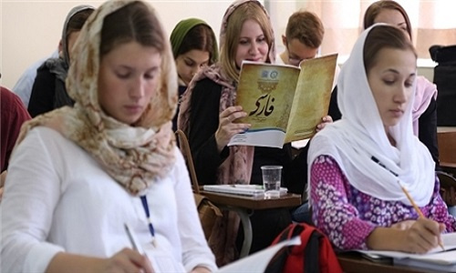 آموزش «زبان فارسی» در عرصه جهانی نیازمند حمایت مجلس و دولت است